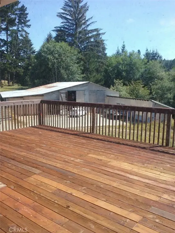 Picture 11
