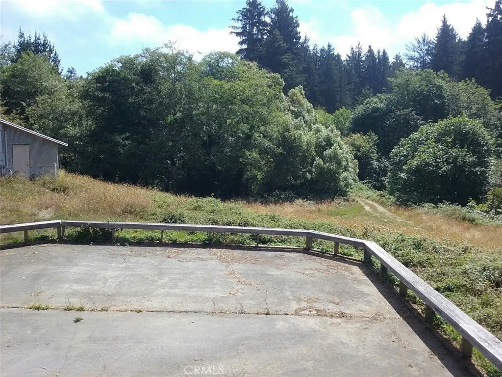 Picture 12