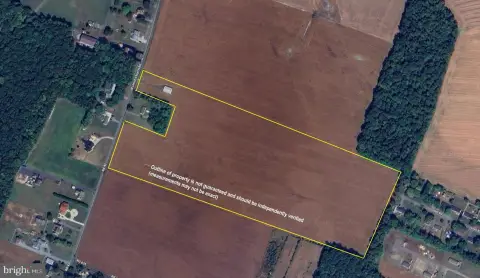 41 Acres in Sussex County