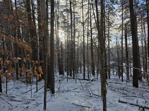 Residential Lot in Ausable Acres