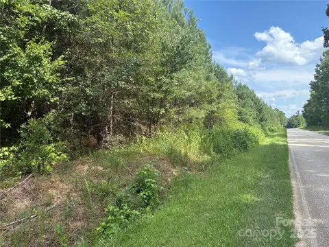Hardwood and Pine Covered Land