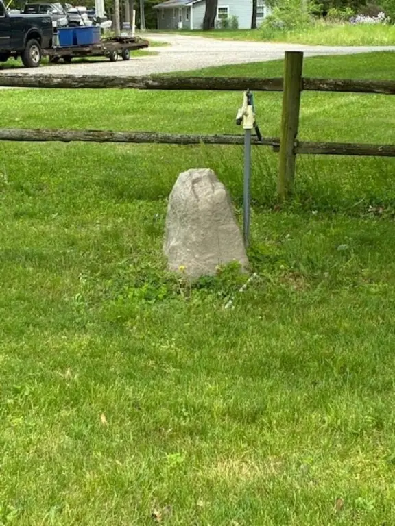 Picture 5