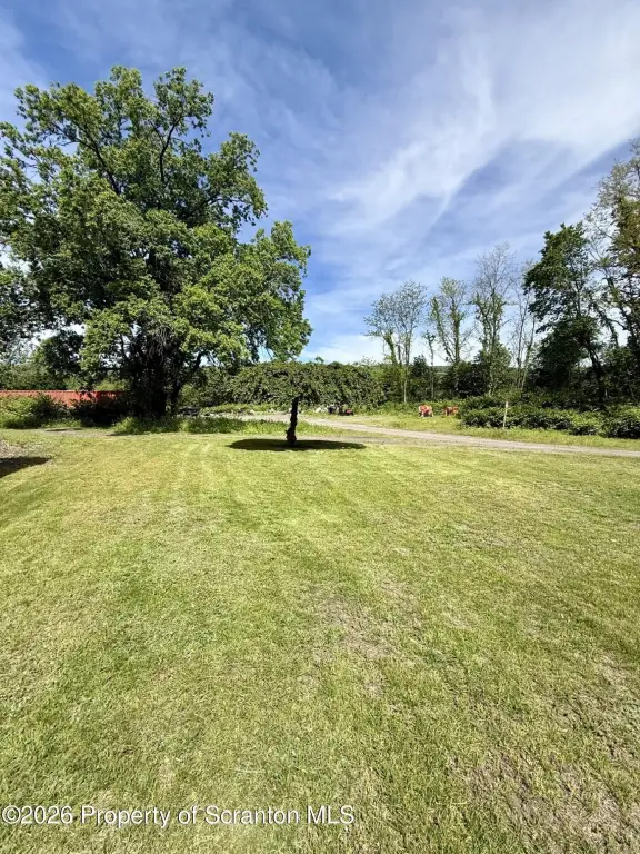 Picture 9