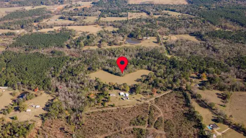 Hallsville Acreage: Build Your Dream