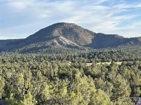 20 Acre Durango Residential Parcel