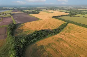 92.66 Acres Near Roxton