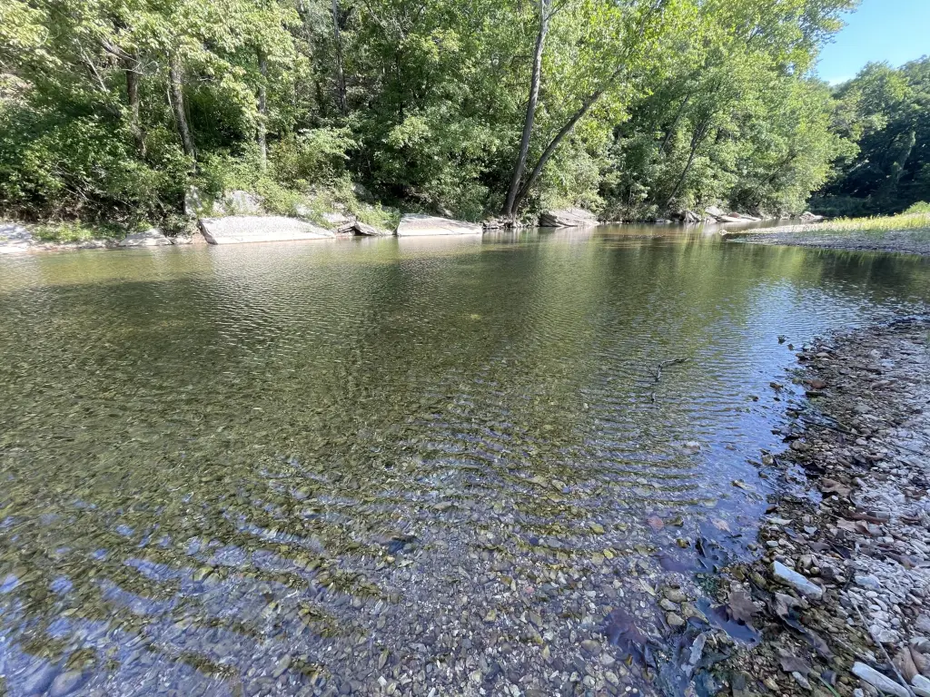 Picture 13
