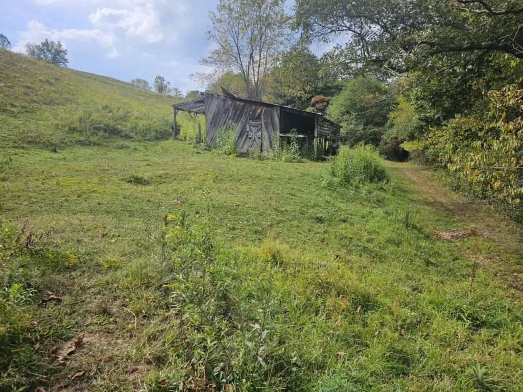 Picture 41