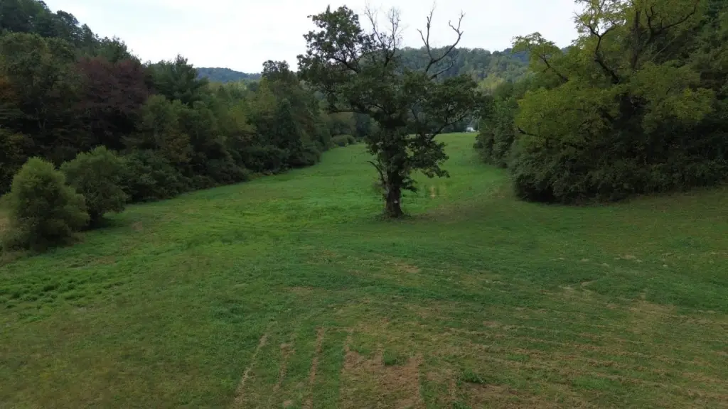 Picture 32