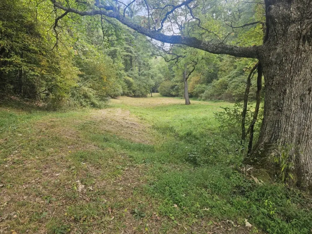Picture 21