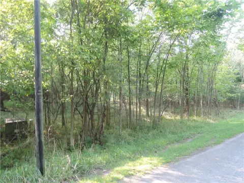 Wooded Lot in Private Development