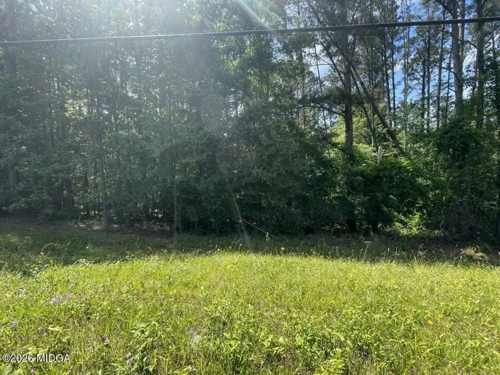 Picture 5