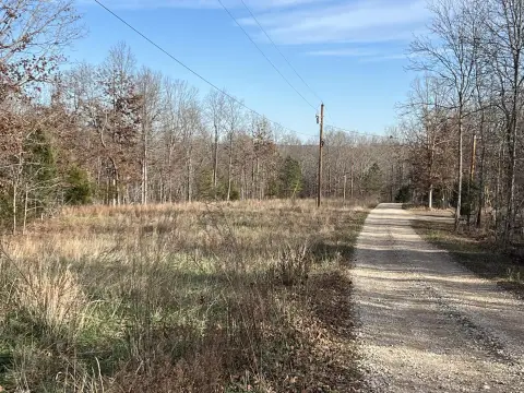 Thayer, MO Wooded Acreage