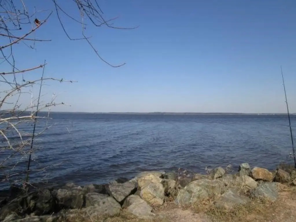 Picture 15