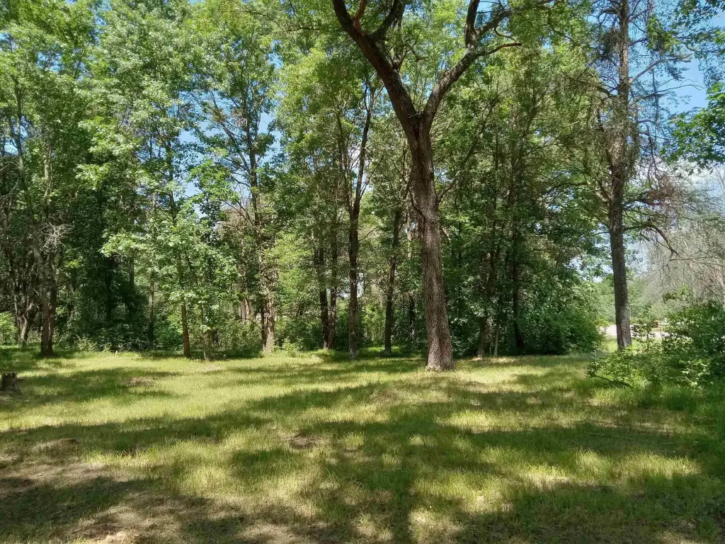 Picture 4