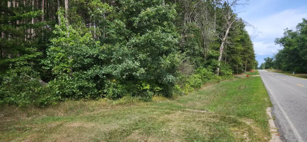 Picture 12