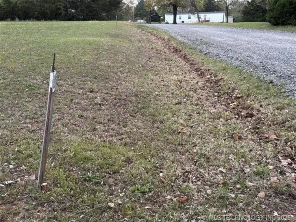 Picture 7