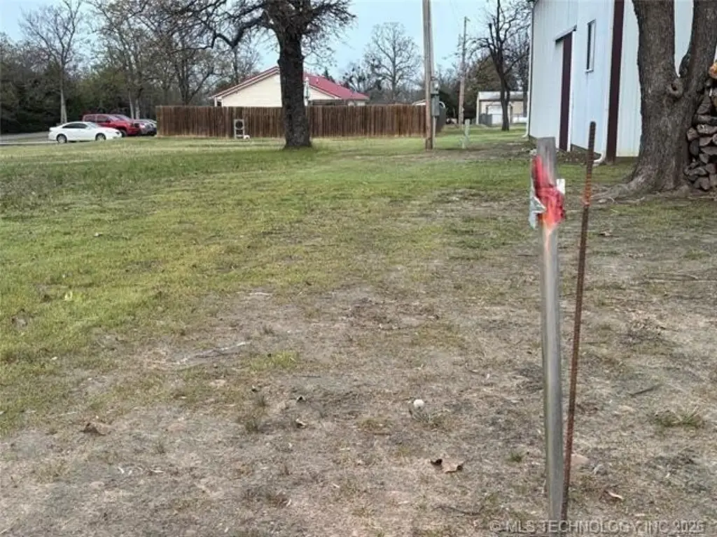 Picture 9