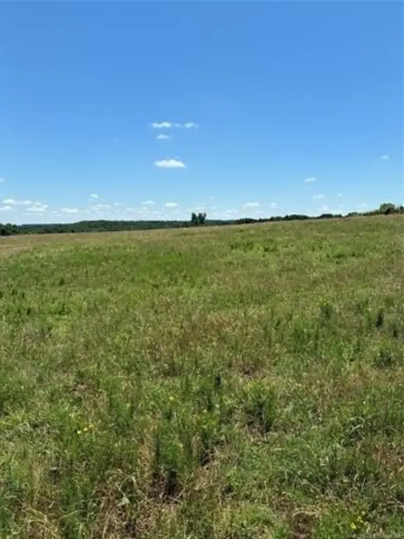 Picture 13
