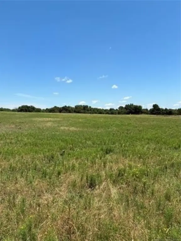 Picture 11