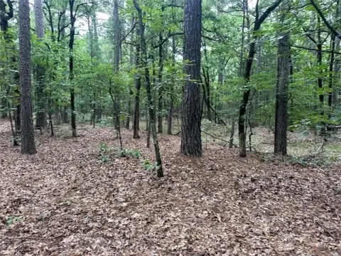 Wooded Recreational Land Tract