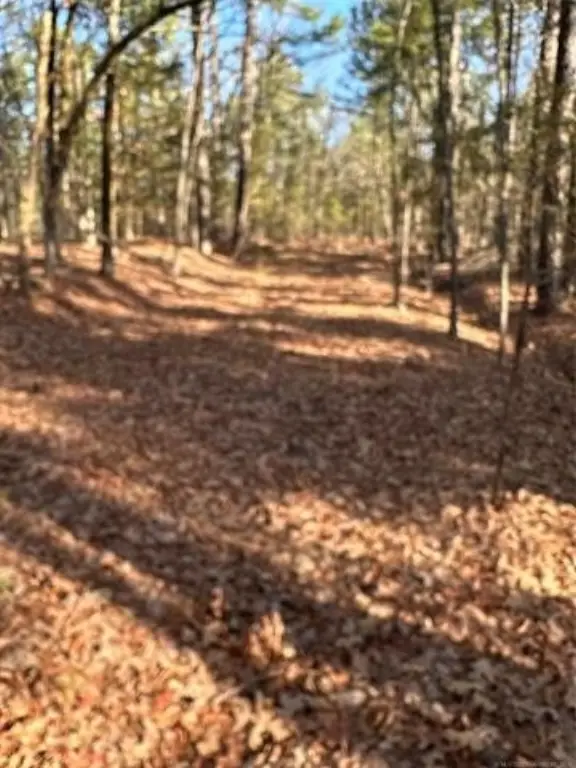 Picture 14