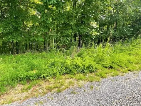 Park Hill Lake View Lot