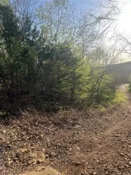 Tenkiller Harbor Lake Lots