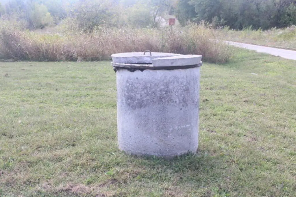 Picture 12