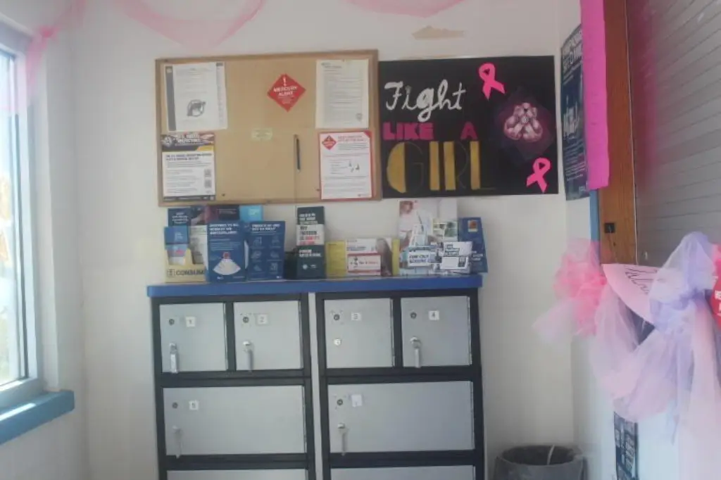 Picture 5