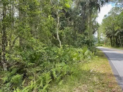 Homosassa Land Parcel For Sale