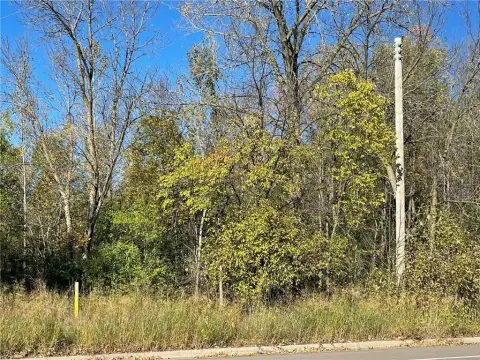 Wooded Lot in City Limits