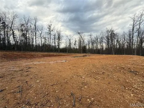 8.6 Acres Wooded Land