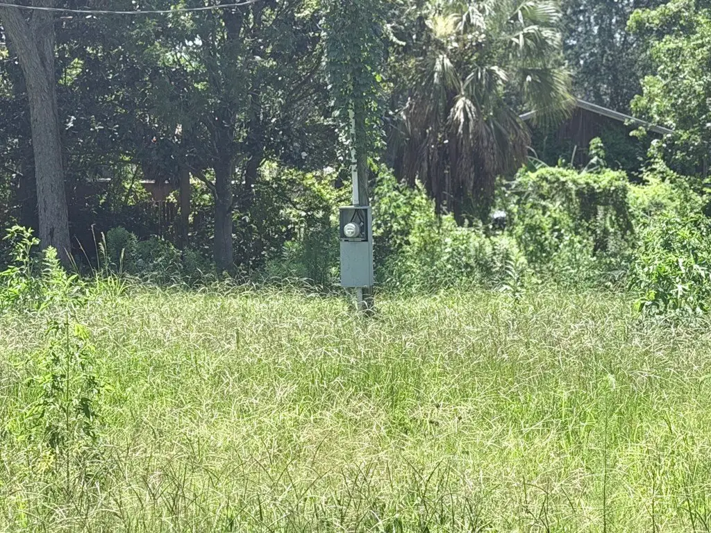 Picture 3