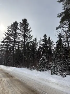 Owls Head Land Opportunity