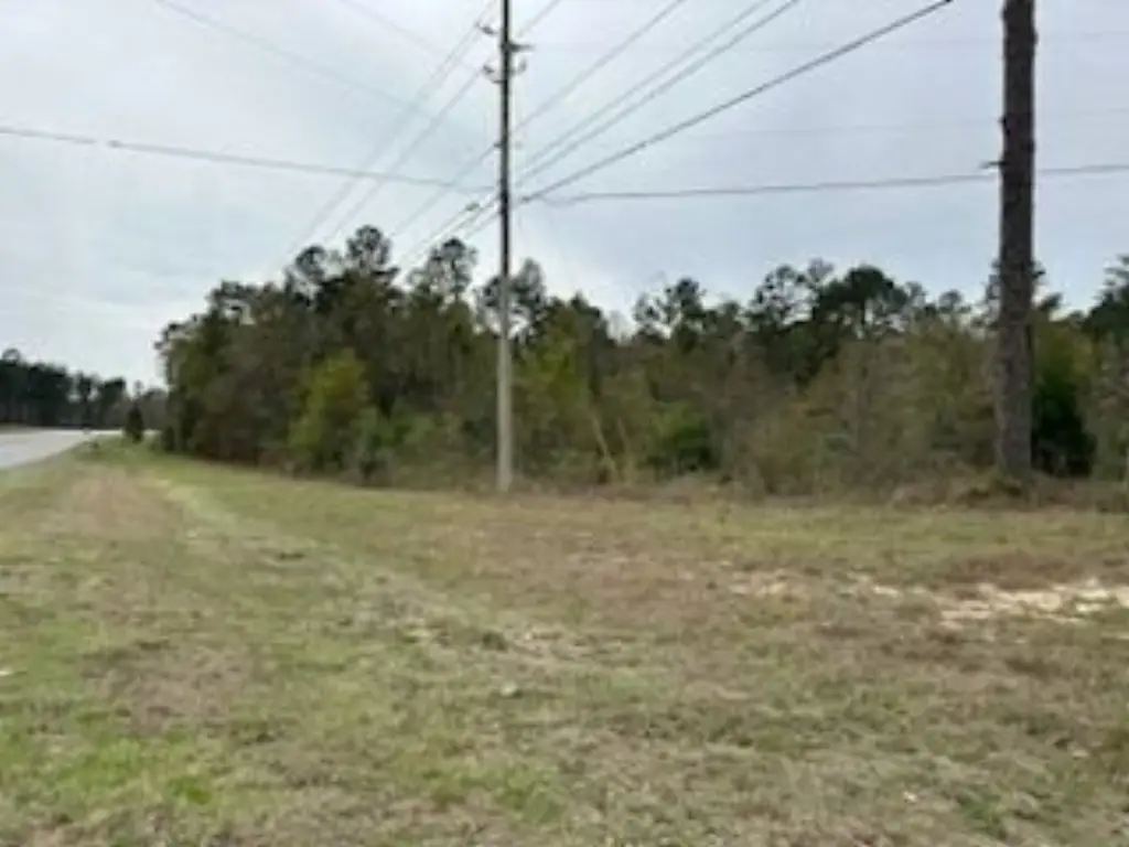Picture 7