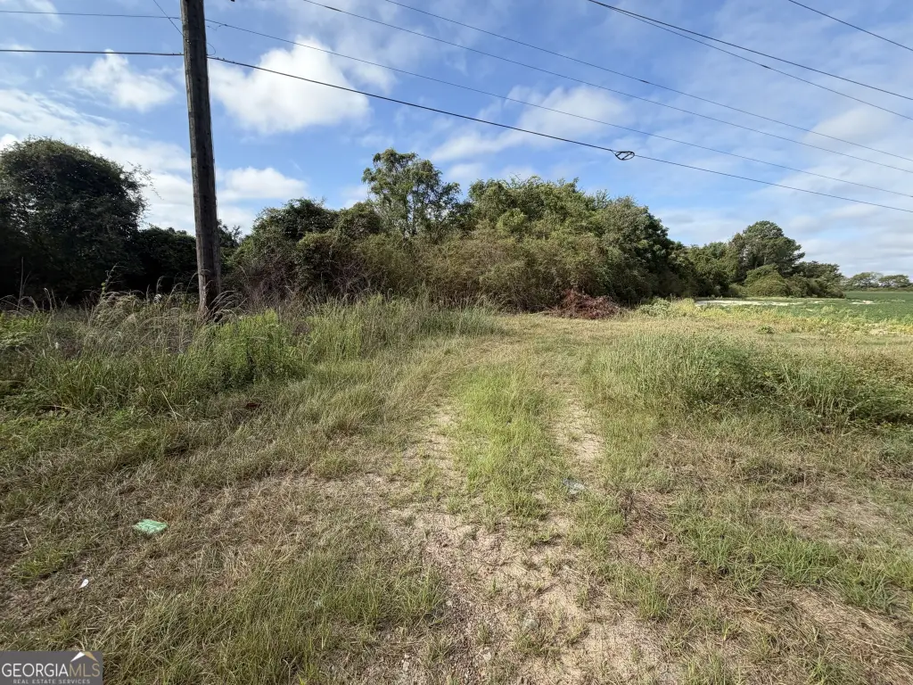 Picture 14