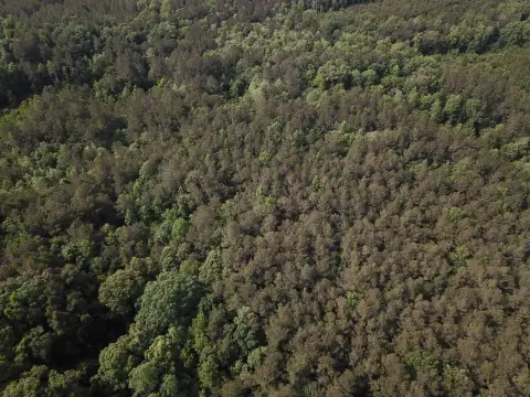 Jena, LA Vacant Land