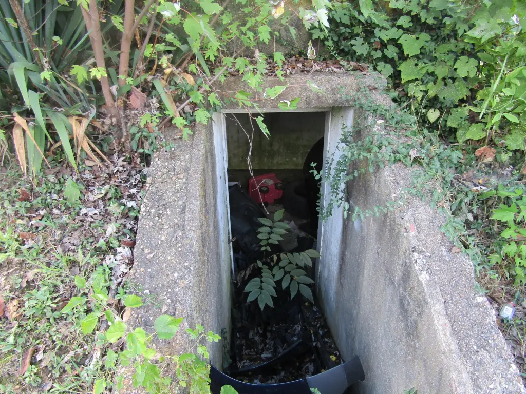 Picture 18