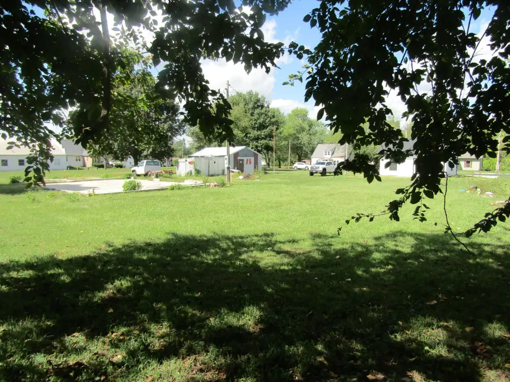 Picture 9