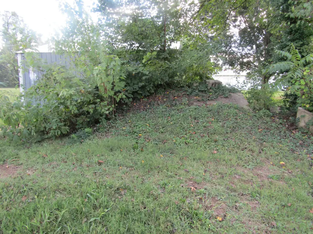 Picture 16