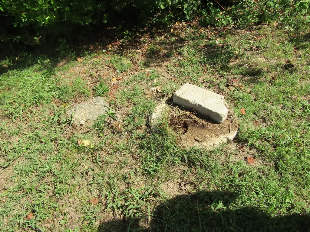 Picture 8