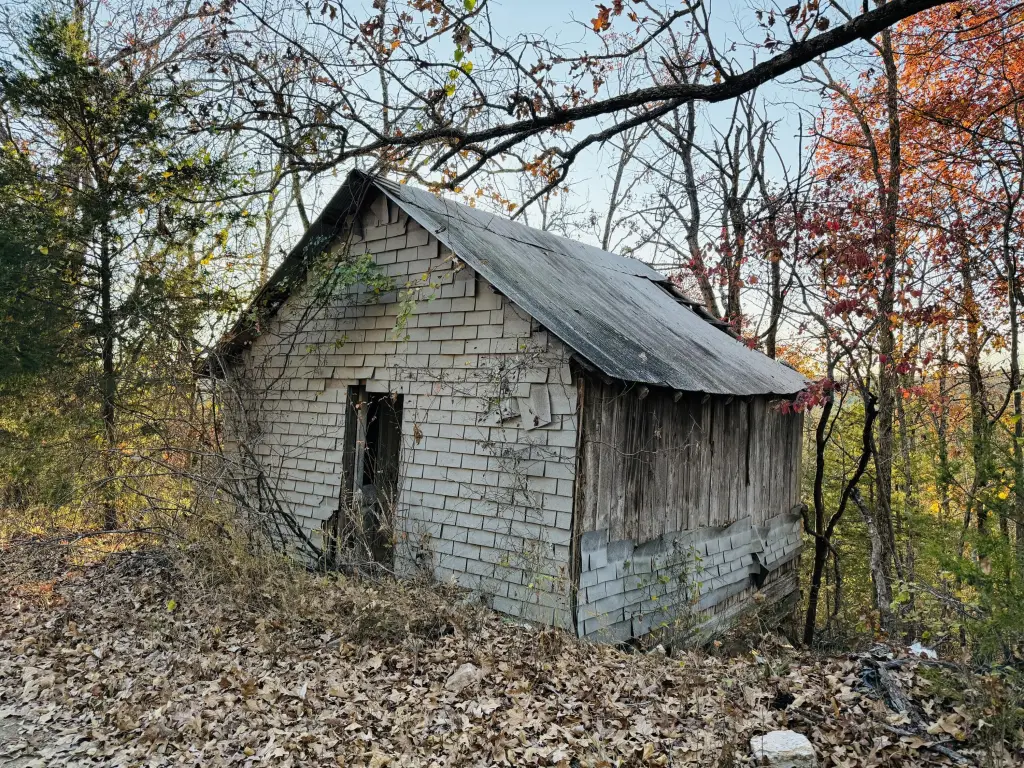 Picture 5