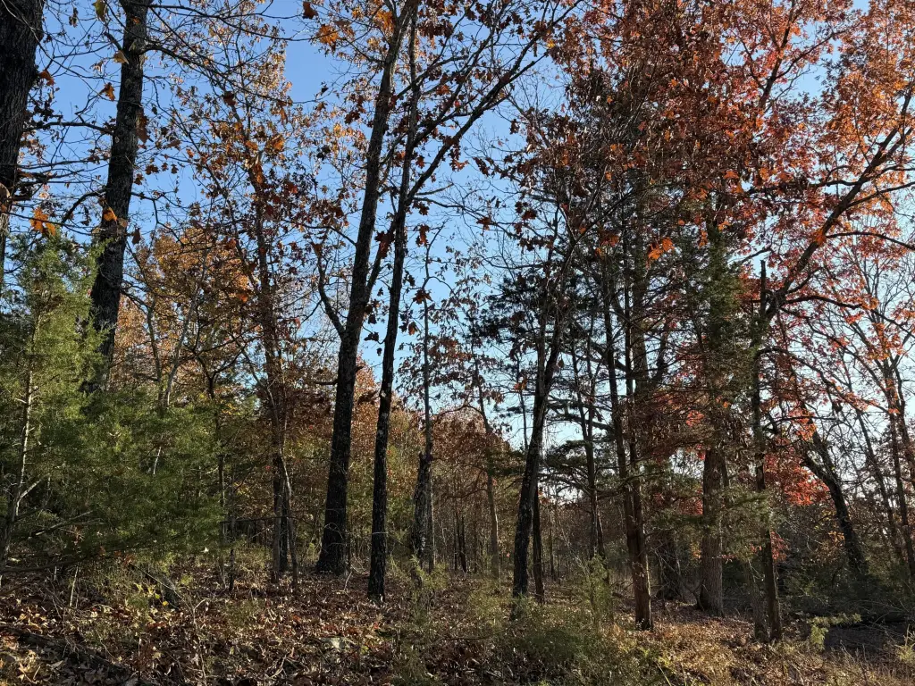 Picture 4