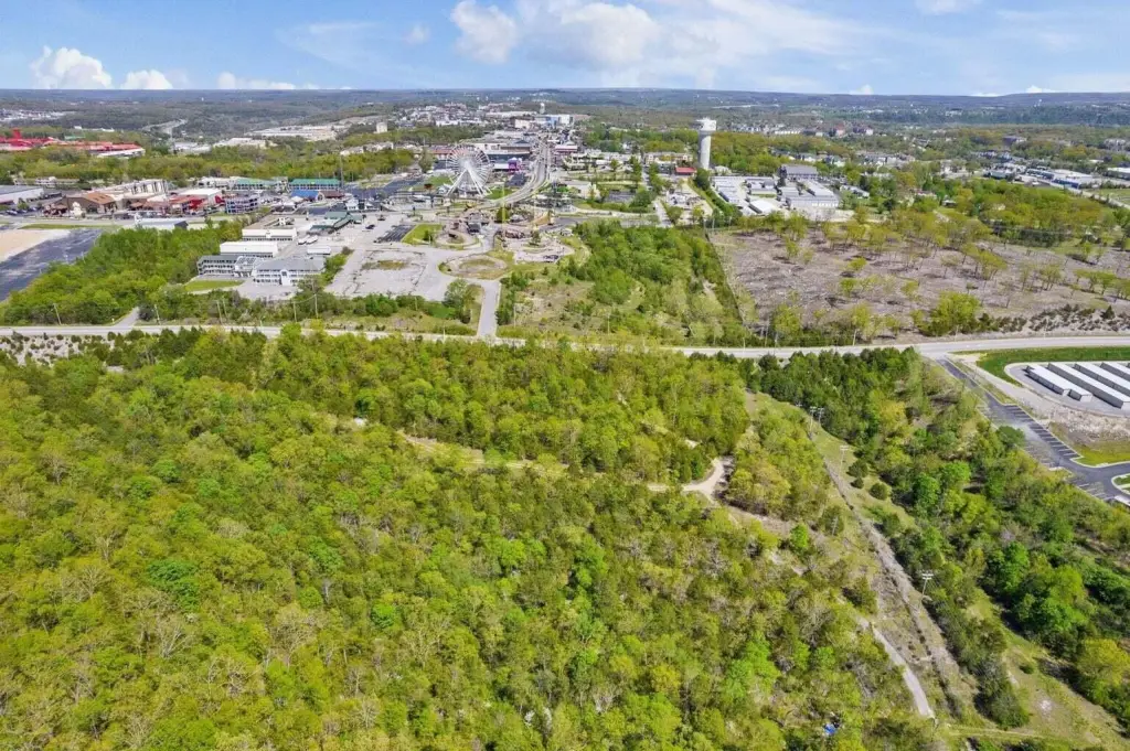 Picture 16