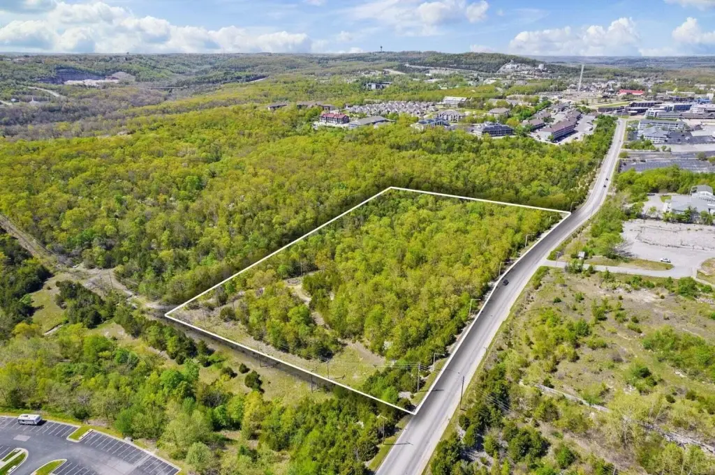 Picture 3