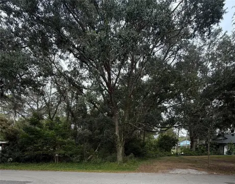 Residential Lot Near Lake Markham