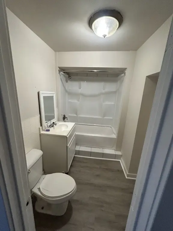 Picture 13