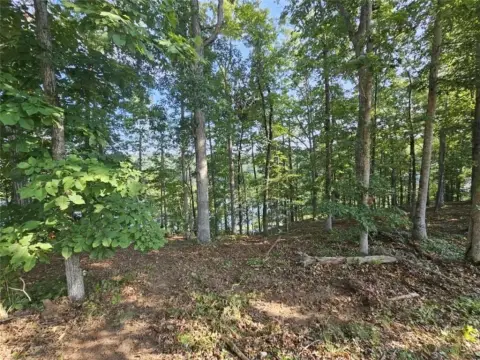 Toccoa, GA Homesite in Currahee