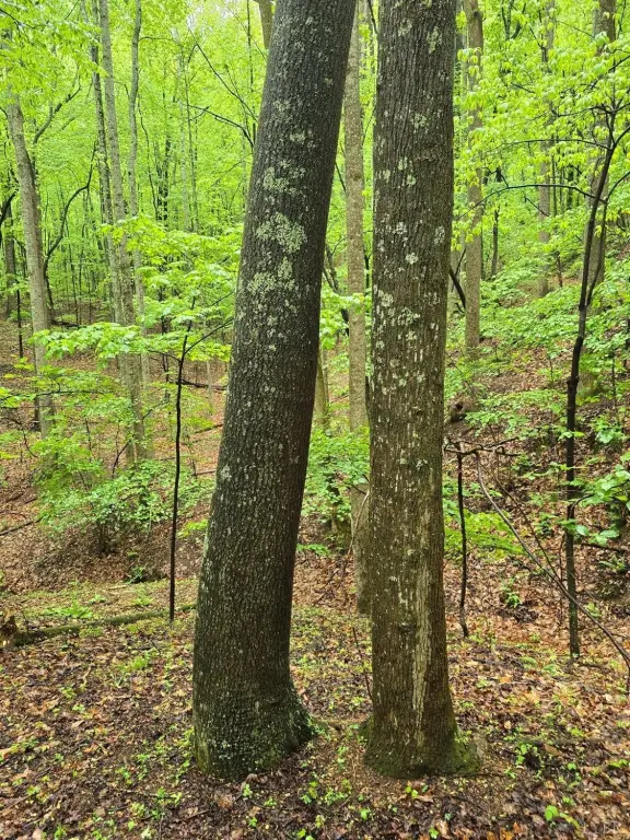 Picture 30